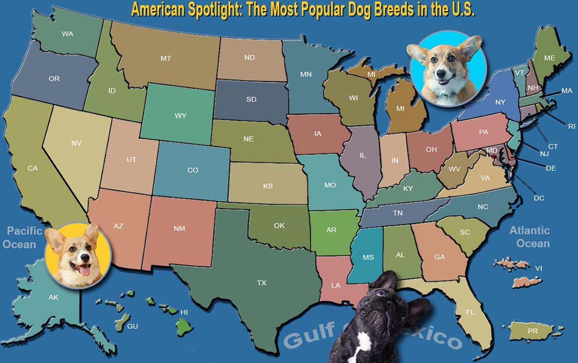 The Songs Across America Project